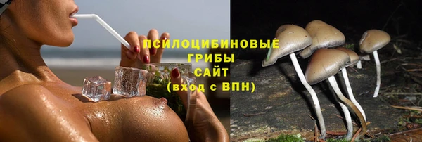 не бодяженный Богородицк