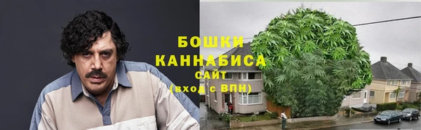прущая мука Богданович
