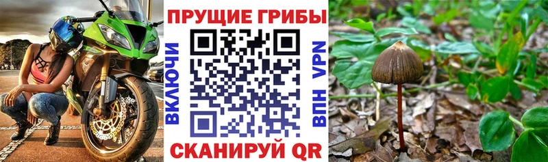 Псилоцибиновые грибы GOLDEN TEACHER  закладки  Корсаков 